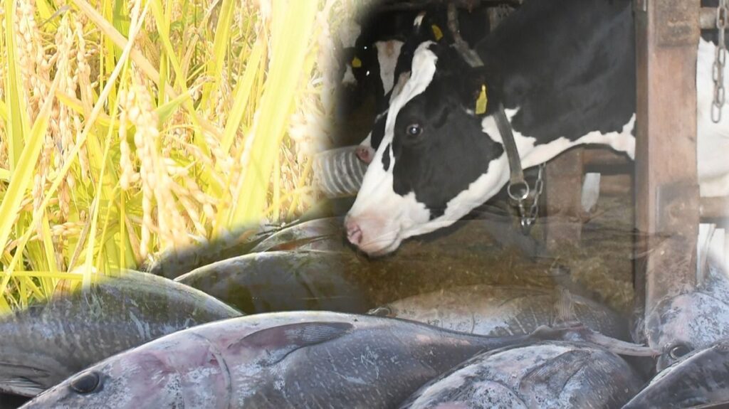 ｢サケ､サンマだけでは食べていけない｣食の担い手、岩手から訴え　政治どう応える | 岩手日報ONLINE