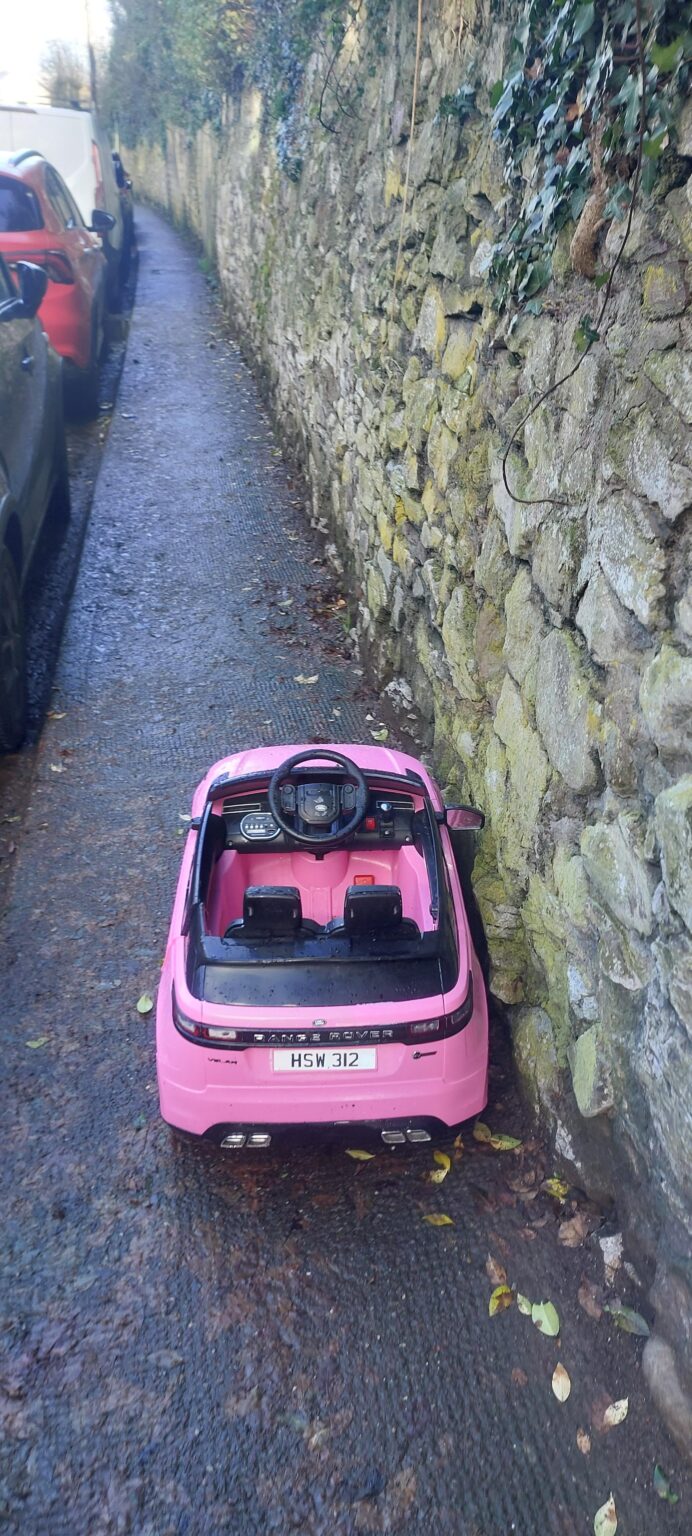 最近は免許取得が簡単すぎる