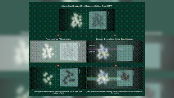 冷却原子の局所密度をリアルタイム測定、新たな手法を実証 インド|インド科学技術ニュース|Science Portal India インドの科学技術の今を伝える