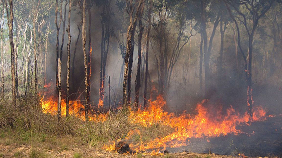 地球規模の水循環の不安定化が関連災害を増幅 オーストラリア国立大学|大洋州科学技術ニュース|Science Portal Oceania 大洋州（オーストラリア、ニュージーランド等）の科学技術の今を伝える