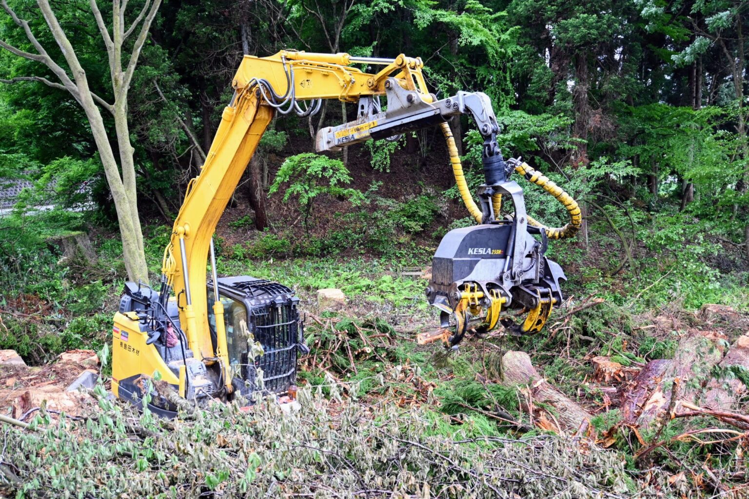 木材全量買取ストックヤードと効率化・省力化で「儲かる林業」へ―富山県西部・森林資源フル活用の挑戦（1）