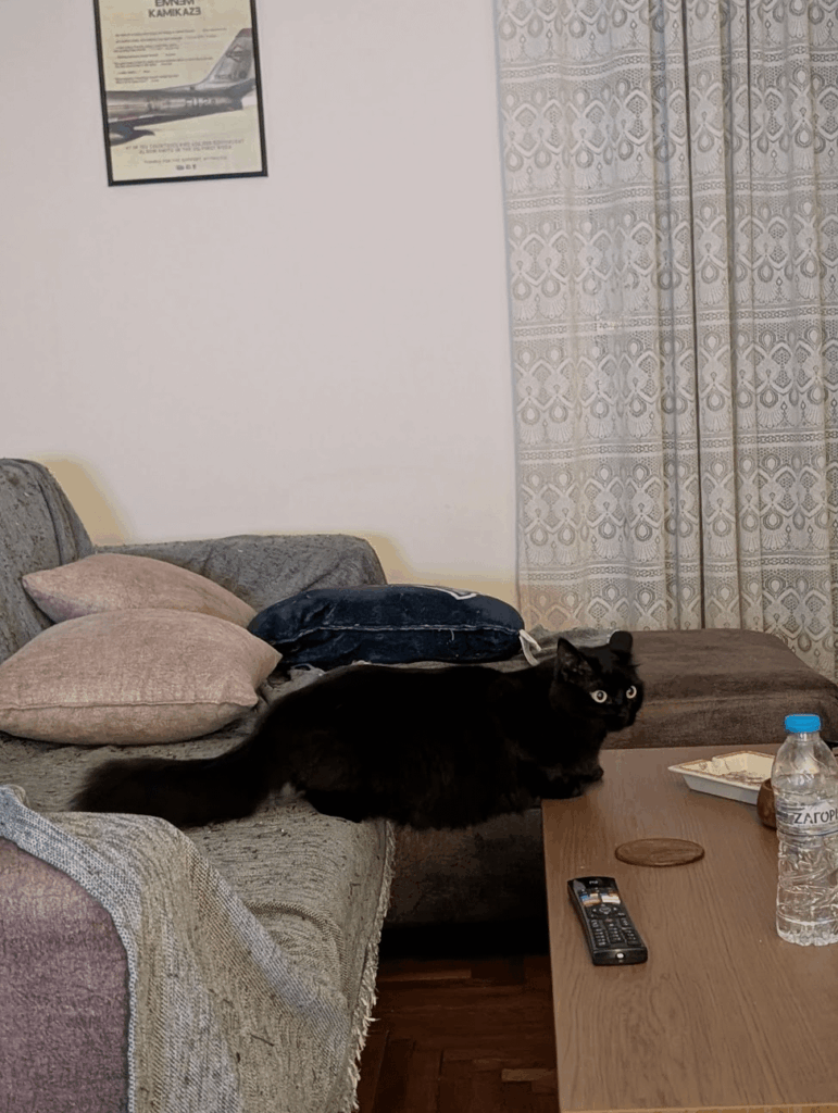 ガトトリティと重力無視機能！