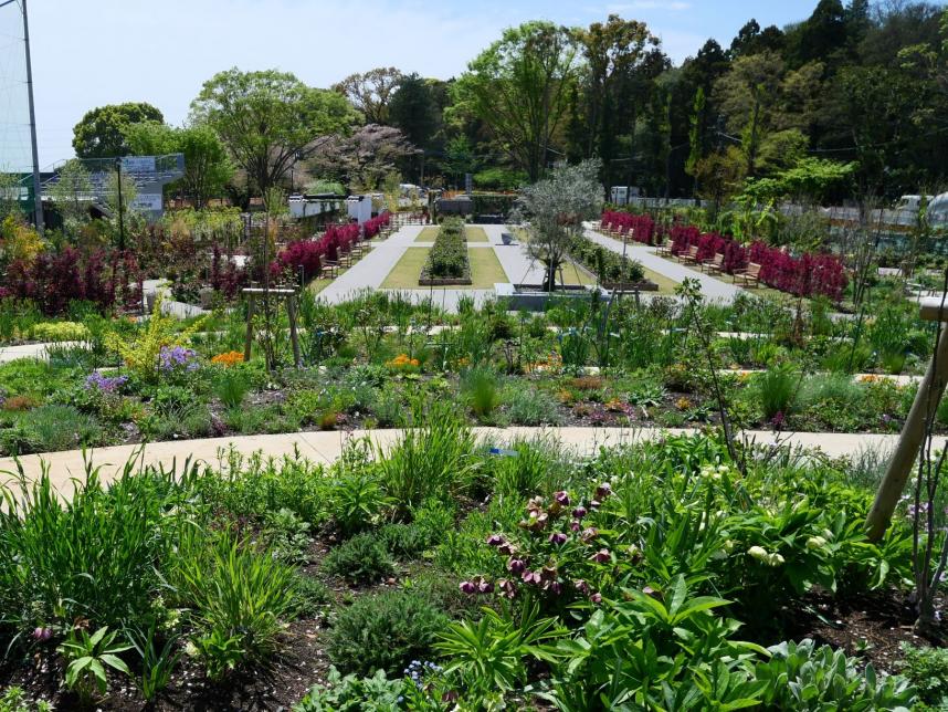 フラワーヒルからの眺め