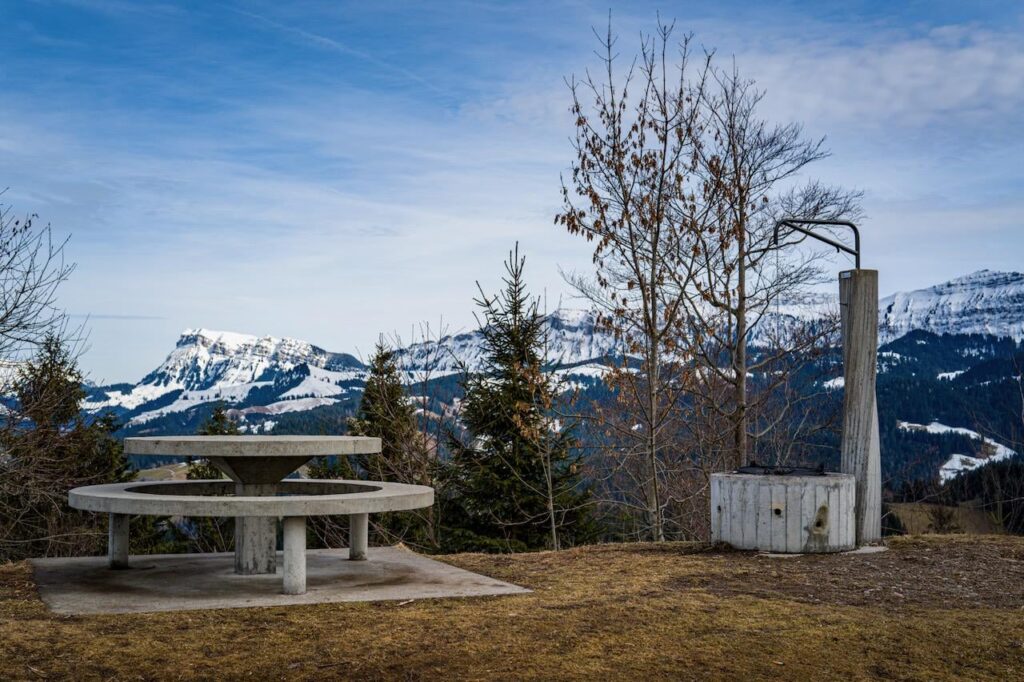 セルベラットに興味のある人はいますか？