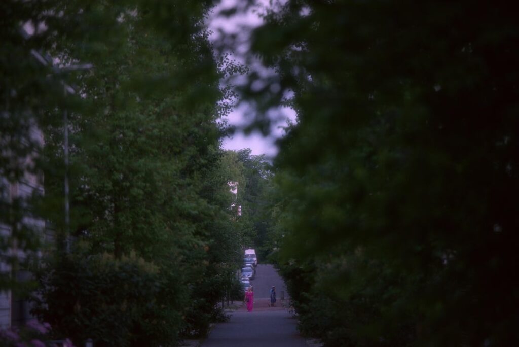 2022 年のクオピオ旅行の写真をもっと載せます。フィンランドが恋しいです！