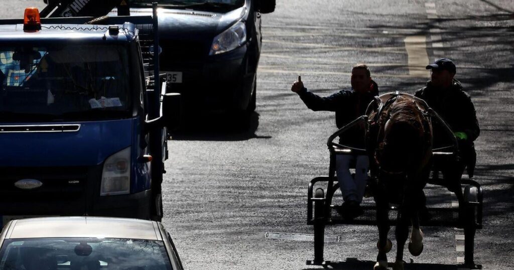 不機嫌なレースの全面禁止を求める嘆願書に1万人以上が署名