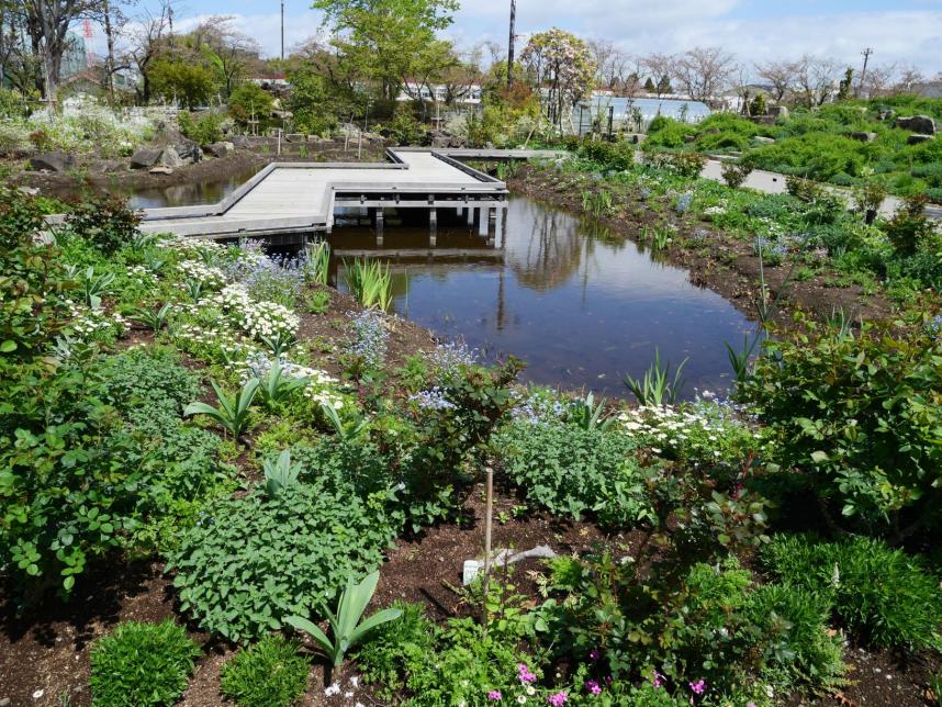 ウォーターガーデン