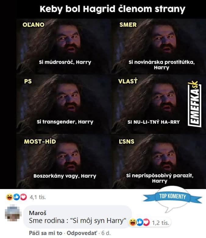 ハグリッドは政治家に