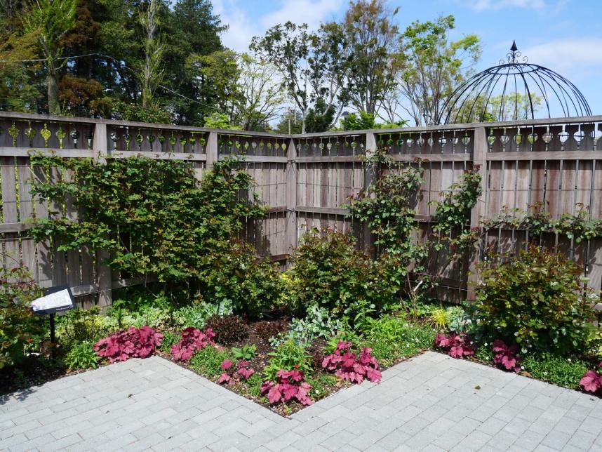 ウェルカムガーデン