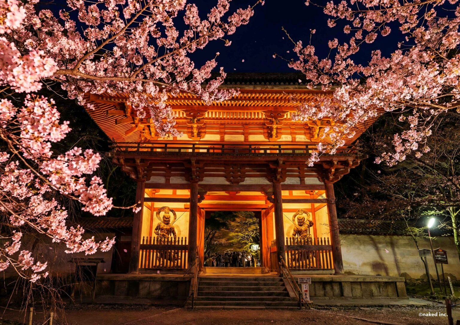 京都・醍醐寺で春の夜桜ライトアップイベント『NAKED meets 世界遺産 醍醐寺―醍醐花見―』開催、国宝「五重塔」前で茶道も | SPICE 京都・醍醐寺で春の夜桜ライトアップイベント『NAKED meets 世界遺産 醍醐寺―醍醐花見―』開催、国宝「五重塔」前で茶道も | SPICE