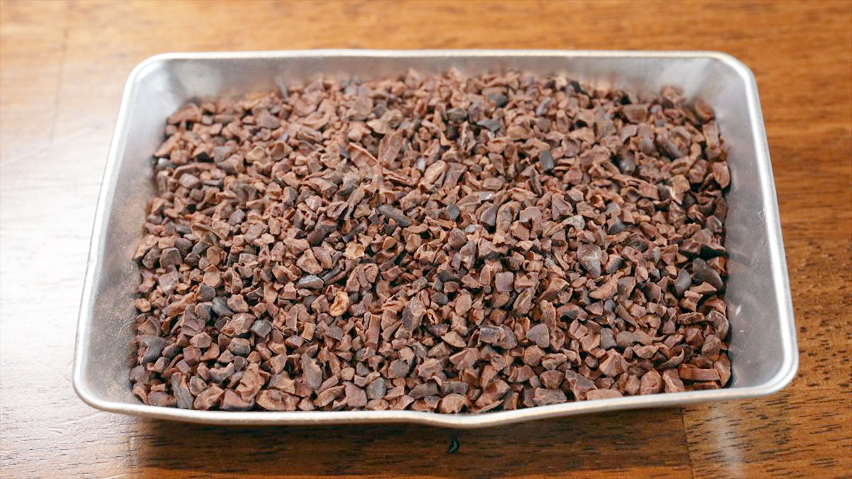 ウィンウィン　2026年2月8日放送