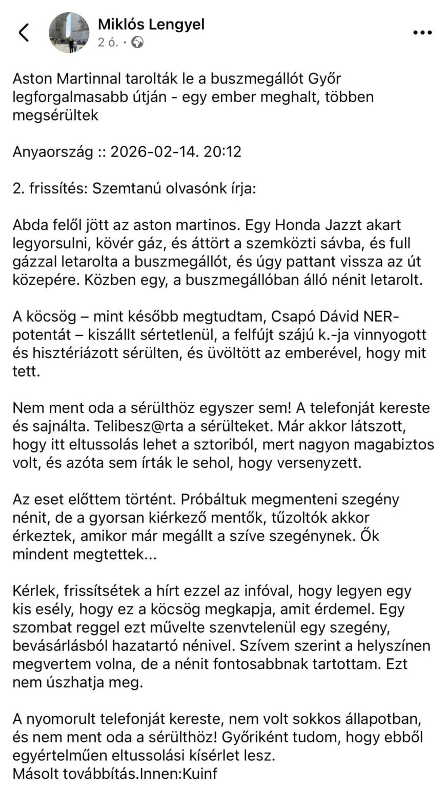 アストンマーティンの事故 ジェールの被害に遭った子供