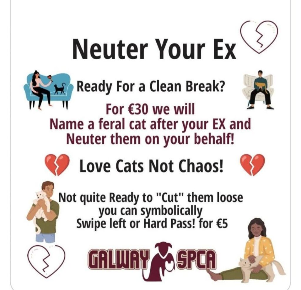 ゴールウェイ SPCA バレンタイン マーケティング