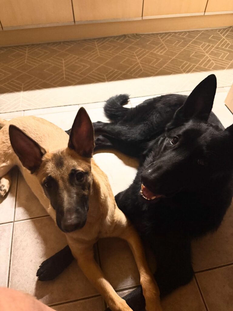 人々の何が問題なのか