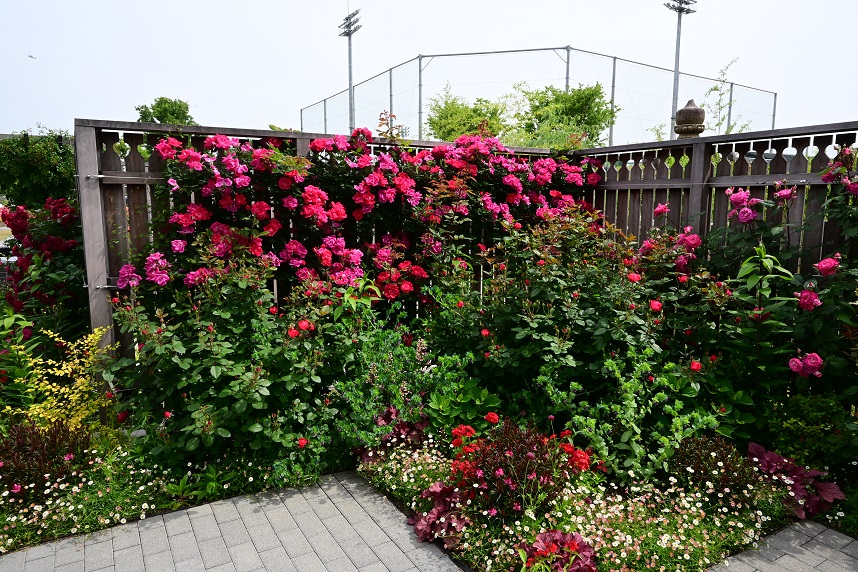 ウェルカム・ガーデン