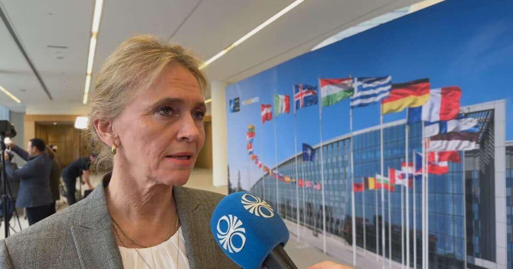 アイスランド人、ウクライナへの武器購入に10億ドルを投資