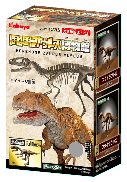 福井県で発掘された恐竜たちモチーフの本格的な 『ほねほねザウルス』 『ほねほねザウルス博物館』 | カバヤ食品株式会社 Facebook