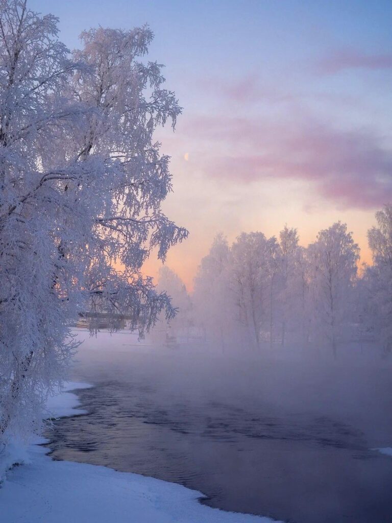 冬の最も寒い日のフィンランド東部