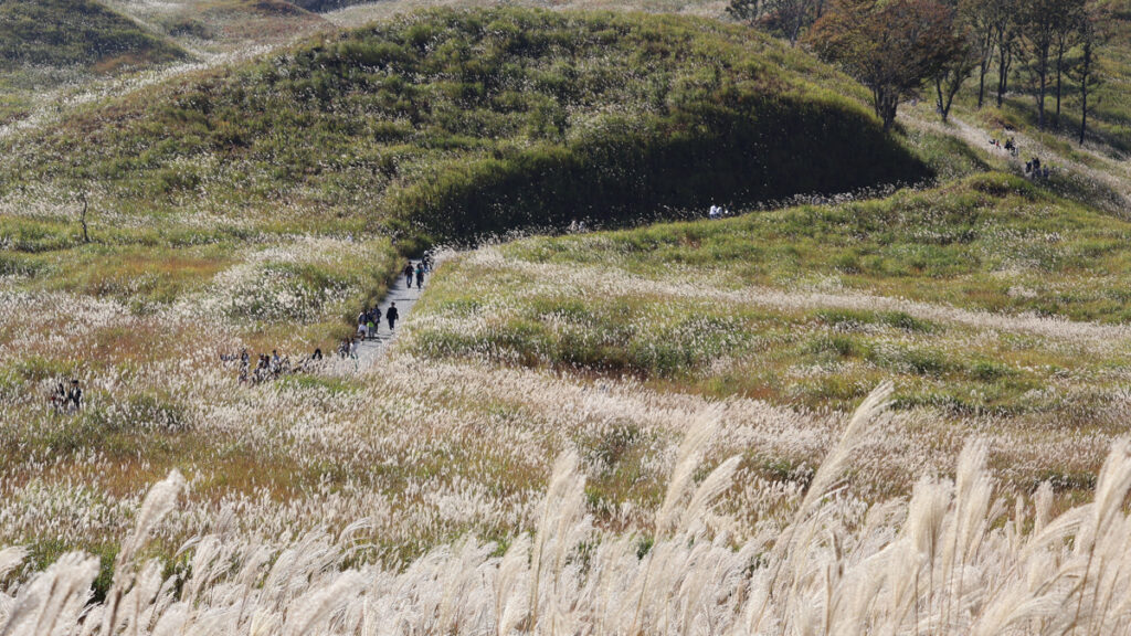 兵庫を巡る万博体験。EXPOレガシーひょうごスタンプラリーが開催 |いいものタウン – 兵庫県まんなか地域のニュースメディア 兵庫を巡る万博体験。EXPOレガシーひょうごスタンプラリーが開催 |いいものタウン - 兵庫県まんなか地域のニュースメディア