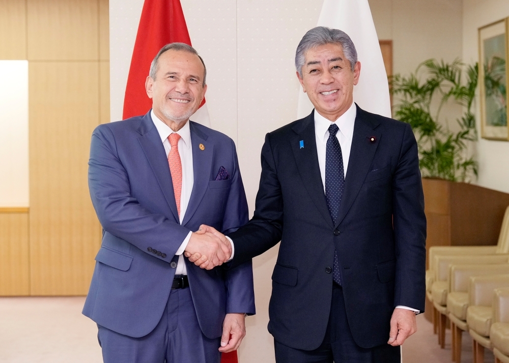 シアレル・ペルー外務大臣と握手をする岩屋外務大臣