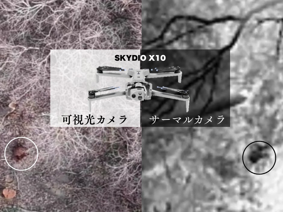 アフリカ豚熱に備え、ドローンで「空からのイノシシの死骸捜索」を実証 | 株式会社NTT e-Drone Technologyのプレスリリース アフリカ豚熱に備え、ドローンで「空からのイノシシの死骸捜索」を実証 | 株式会社NTT e-Drone Technologyのプレスリリース