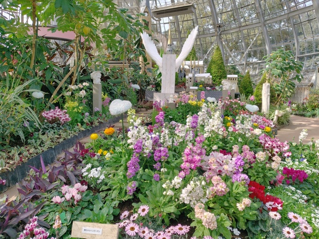 花の展示温室 スプリングガーデン