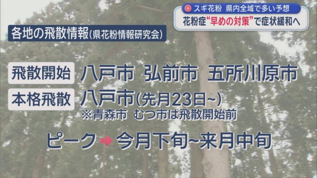 スギ花粉　青森県内全域で多い予想　花粉症 “早めの対策”で症状緩和へ