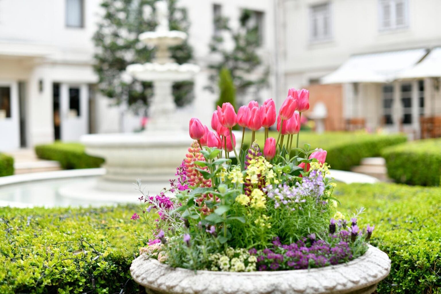 横浜ホテルニューグランド「花と緑の庭園」ヨーロッパ調の庭園に春の花、光の演出やアフタヌーンティーも - ファッションプレス