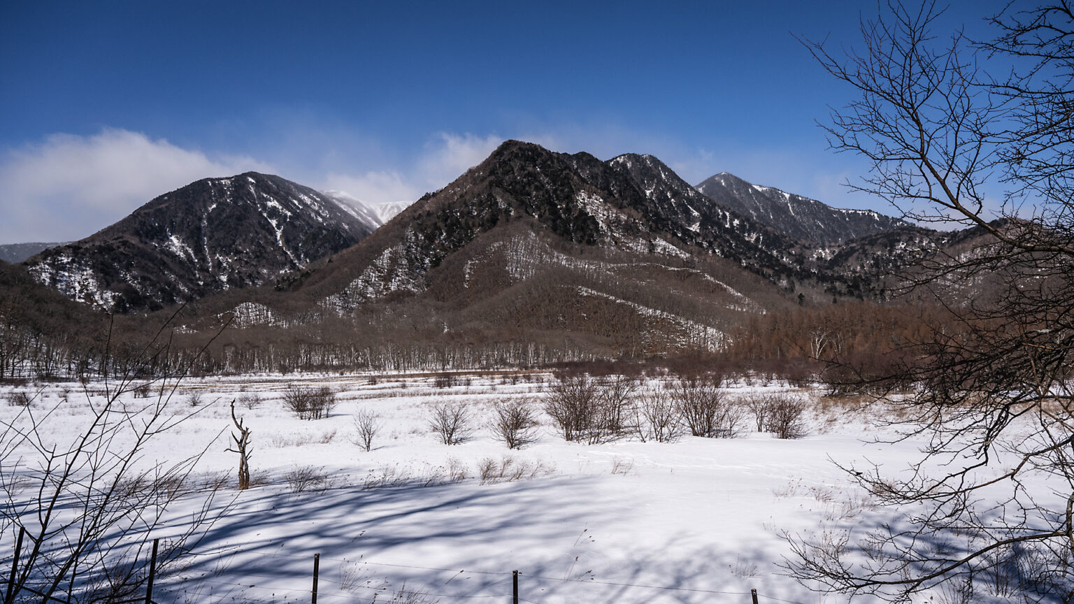 【若林直樹のトラベルフォトギャラリー】春を待つ戦場ヶ原（栃木県） - トラベル Watch