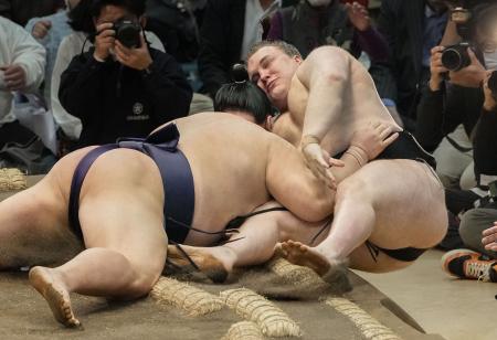 安青錦初黒星、大の里は連敗 豊昇龍２連勝、春場所 | 全国のニュース | 福井新聞ONLINE