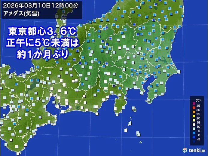 宇都宮で積雪12センチ　東京23区内でも一時大粒の雪で震える寒さ