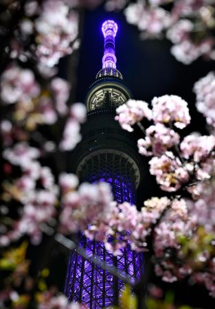 復興願い、東京の夜空に光の花 スカイツリー | 全国のニュース | 福井新聞ONLINE