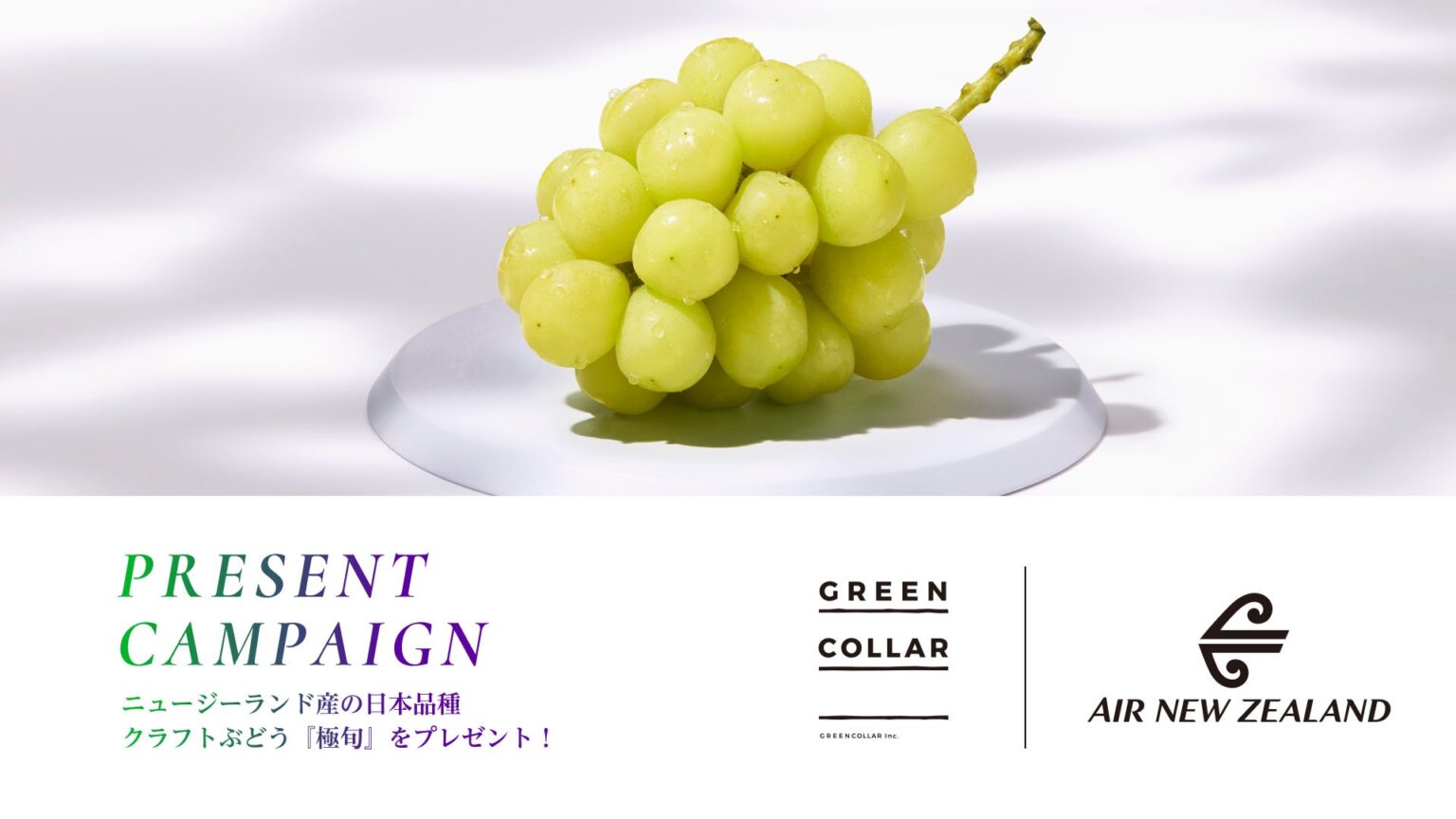 GREENCOLLAR × ニュージーランド航空共同プレゼントキャンペーンを開催。ニュージーランド産の日本品種クラフトぶどう『極旬』をプレゼント | 株式会社GREENCOLLARのプレスリリース