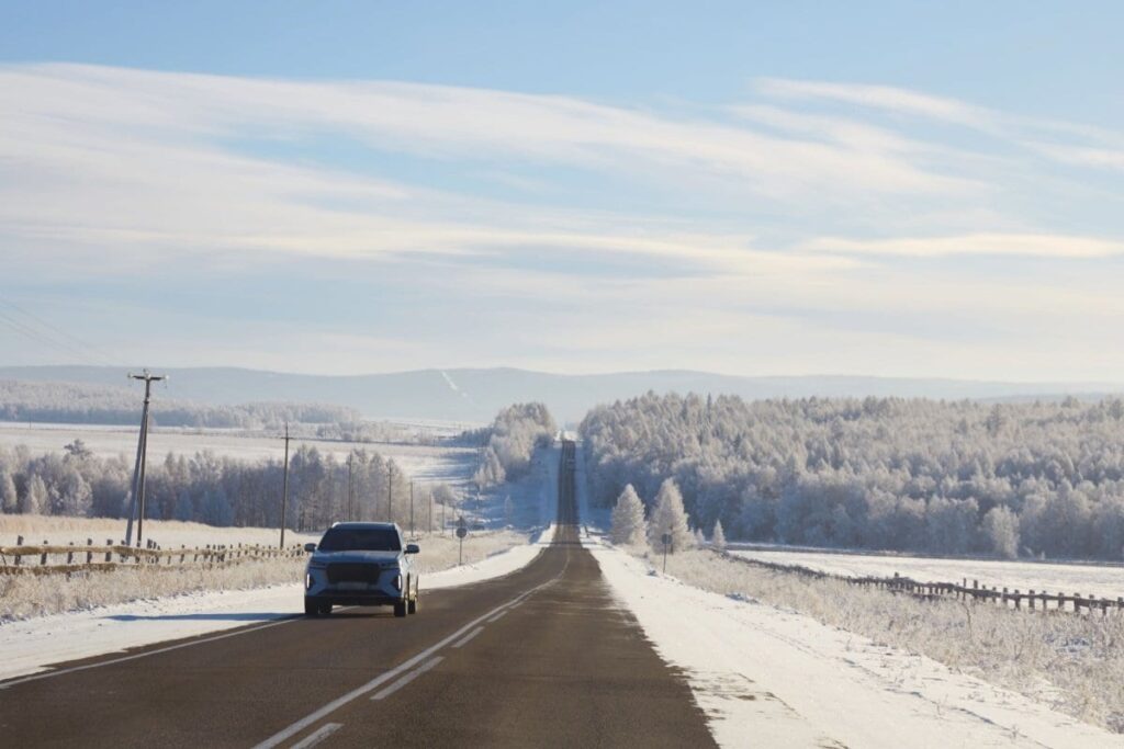 秋田県で目撃された「春を感じる光景」に衝撃走る…　自動車の思わぬ状態が話題に | LIMO | くらしとお金の経済メディア