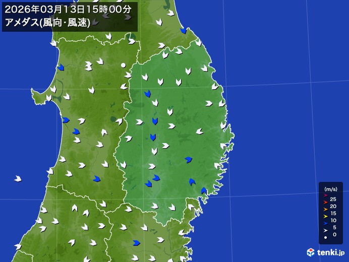 岩手県の過去のアメダス実況(2026年03月13日)(風向・風速) - 日本気象協会 tenki.jp