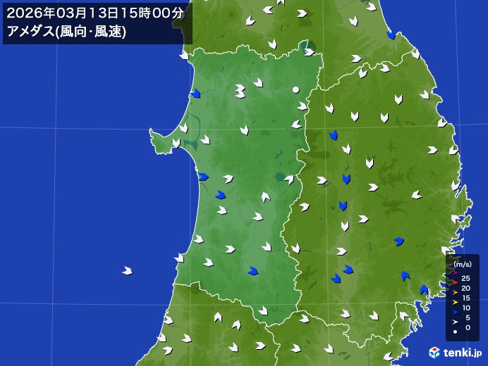秋田県の過去のアメダス実況(2026年03月13日)(風向・風速) - 日本気象協会 tenki.jp