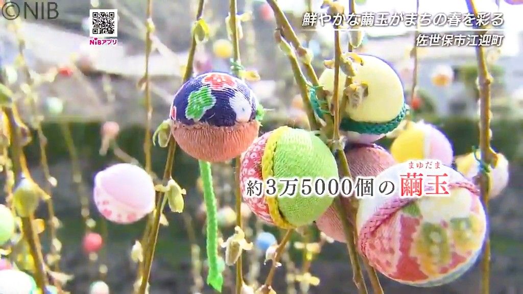 3万5千個の“縁起物” がまちを彩る「肥前えむかえ繭玉まつり」春の恒例行事《長崎》(2026年3月16日掲載)|NIB NEWS NNN 共有