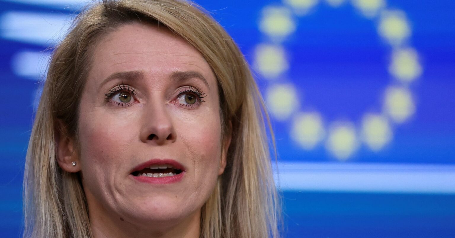 ＥＵ、紅海任務のホルムズ海峡への拡大に慎重＝カラス上級代表 | ロイター