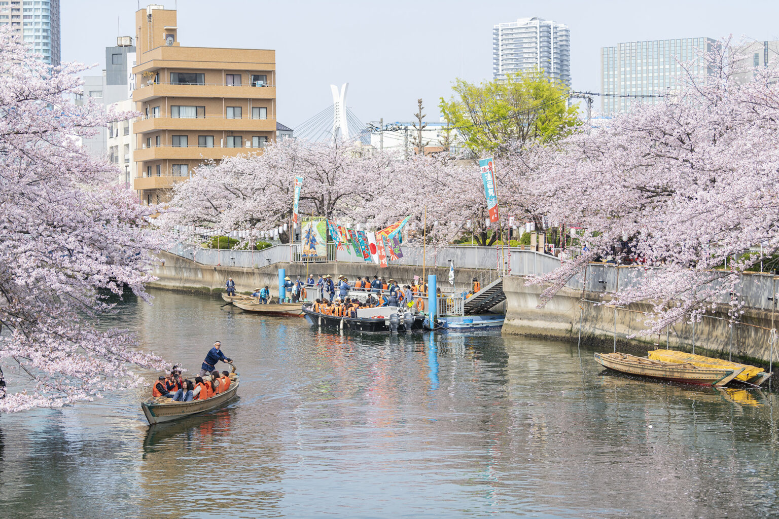 お江戸深川さくらまつり お江戸深川さくらまつり