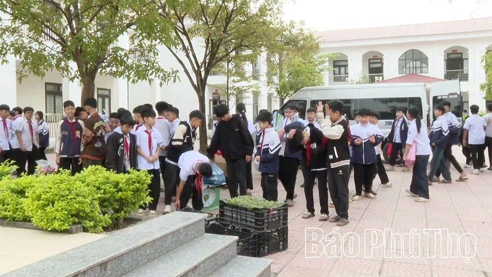 紙を木に交換しよう ― 学校から始まる環境に優しいライフスタイルの普及。