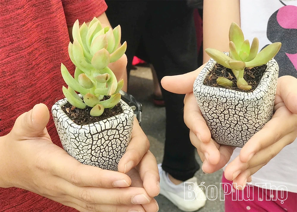 紙を木に交換しよう ― 学校から始まる環境に優しいライフスタイルの普及。