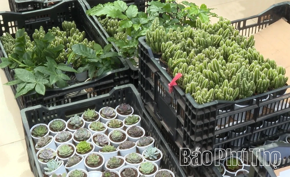 紙を木に交換しよう ― 学校から始まる環境に優しいライフスタイルの普及。