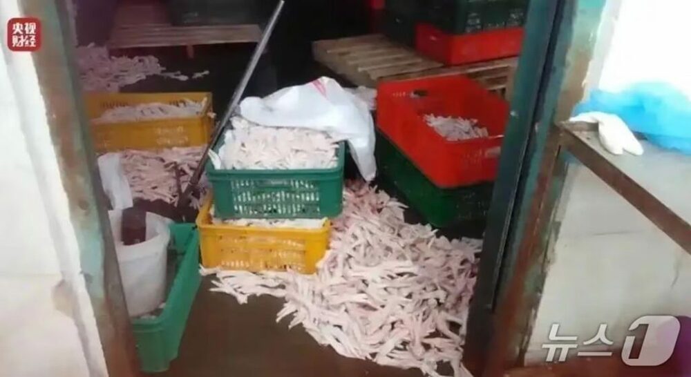 不安広がる中国産「漂白鶏の足」…韓国当局「自国への輸入事例なし」 公式発表　写真枚　国際ニュース：AFPBB News