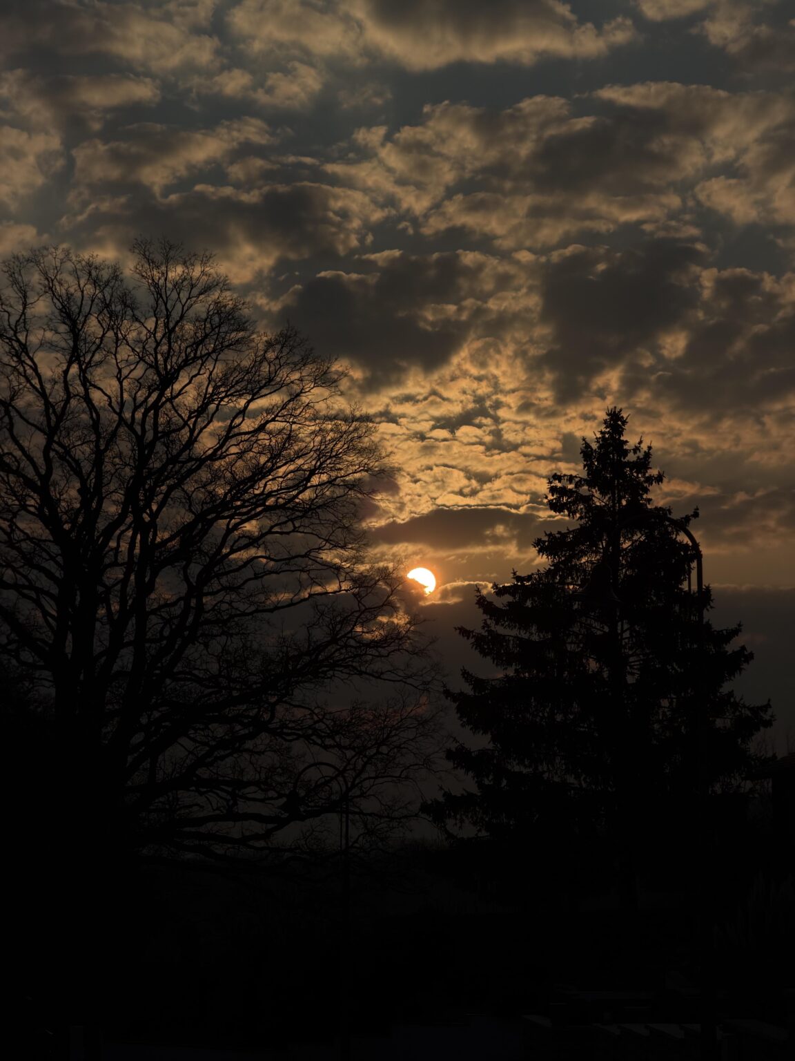 朝闇を乗り越える太陽💕