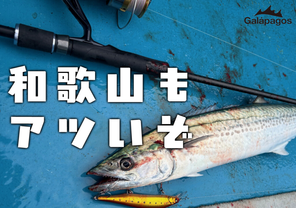 【ジャーキングでサワラ攻略】イマ盛り上がりを見せる!和歌山県御坊周辺エリアのサワラゲーム | 釣りの総合ニュースサイト「LureNewsR(ルアーニュース アール)」 【ジャーキングでサワラ攻略】イマ盛り上がりを見せる!和歌山県御坊周辺エリアのサワラゲーム | 釣りの総合ニュースサイト「LureNewsR(ルアーニュース アール)」