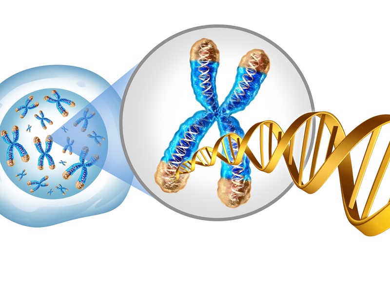 台湾GNTbm社、クラス1 HDAC阻害薬候補が固形がんと血液がんを対象に米国で第1相開始へ:日経バイオテクONLINE 台湾GNTbm社、クラス1 HDAC阻害薬候補が固形がんと血液がんを対象に米国で第1相開始へ:日経バイオテクONLINE