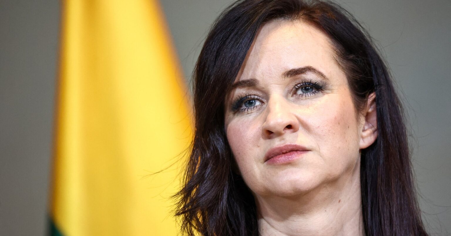 リトアニアで墜落のドローン、ウクライナから飛来か　ロシア標的も進路誤る | ロイター