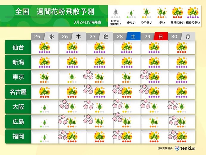 九州から関東はヒノキ花粉のピークへ　スギ花粉もまだ飛ぶ　お花見の際は花粉対策を