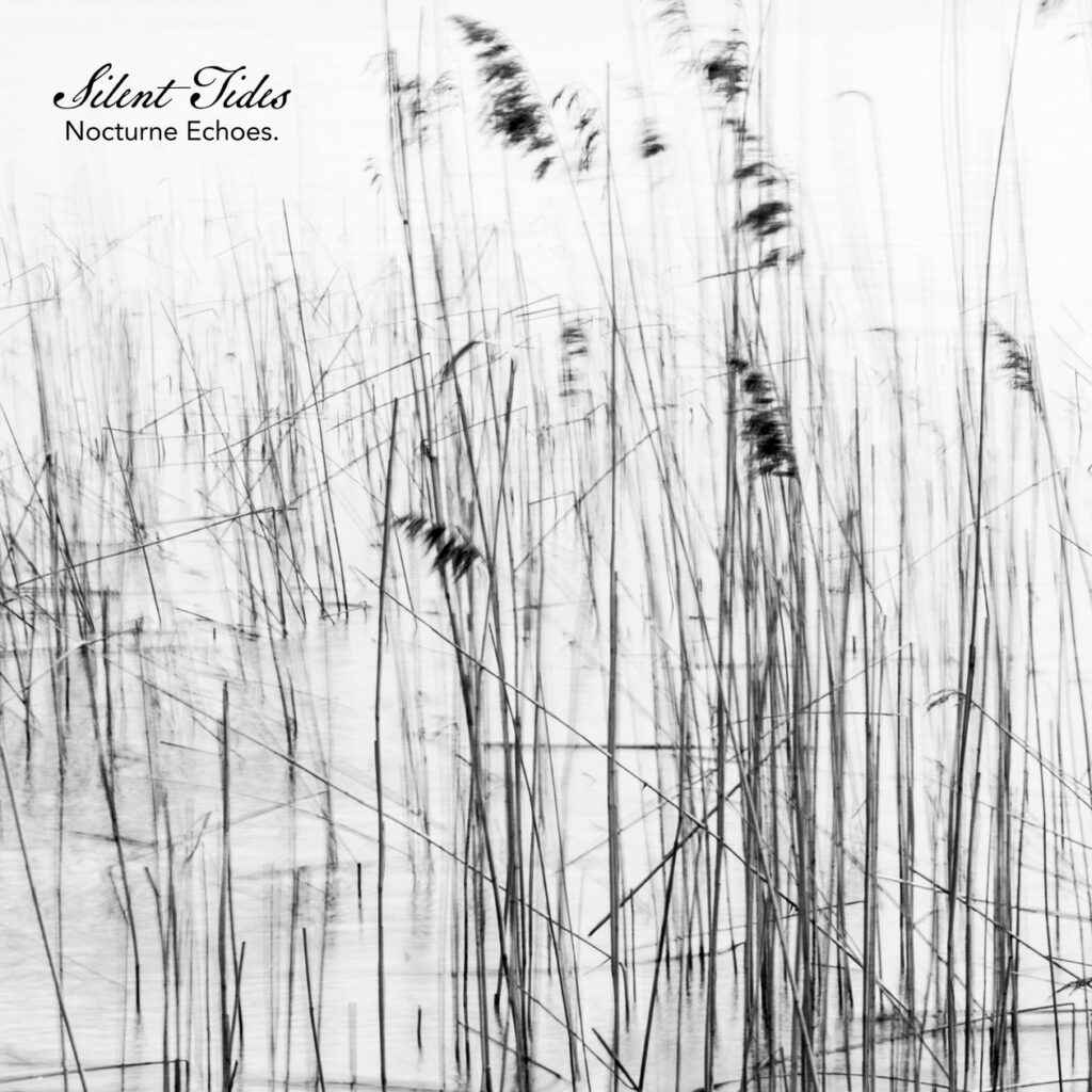 静かな旋律が描く、余白のアンビエントピアノ。Sugar Candy『Silent Tides -Nocturne Echoes』3月27日配信開始