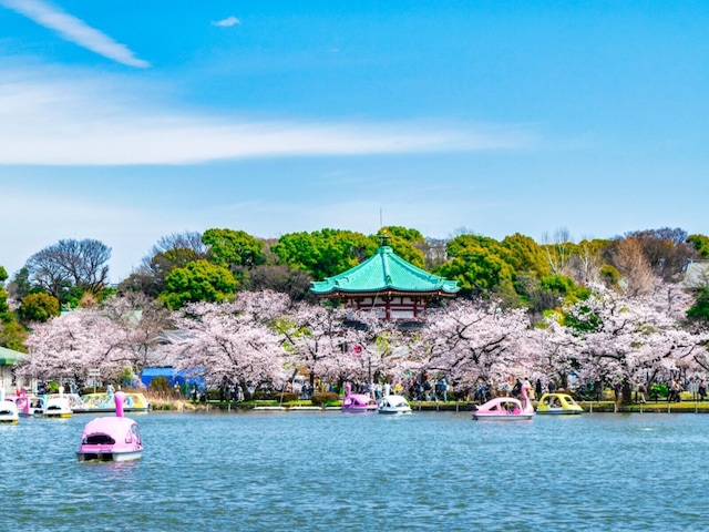 「食べ歩きをしながら……」東京都の“行ってみたい&好きな桜の名所”10選! 最多票を獲得したのは?【2026年調査】(All About NEWS)|dメニューニュース(NTTドコモ) 「食べ歩きをしながら……」東京都の“行ってみたい&好きな桜の名所”10選! 最多票を獲得したのは?【2026年調査】